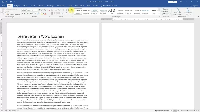 Leere Seiten löschen – Word-Tutorial