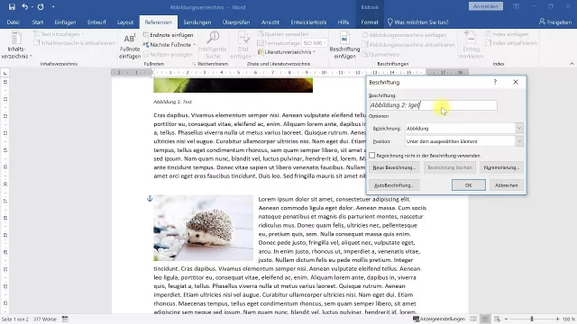 Abbildungsverzeichnis erstellen – Word-Tutorial