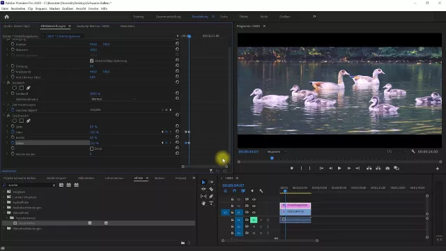Schwarze Balken einfügen – Premiere-Pro-Tutorial