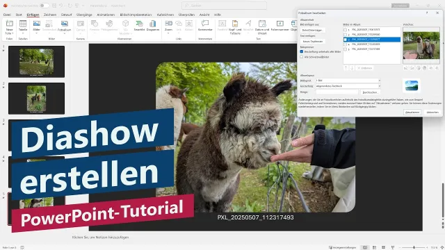 Bildergalerie erstellen – Fotoalbum-Funktion mit automatischer Diashow – PowerPoint-Tutorial