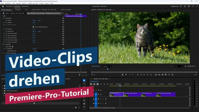 Videos rotieren & Ausrichtung drehen (Hochkant vs. Querformat) – Premiere-Pro-Tutorial