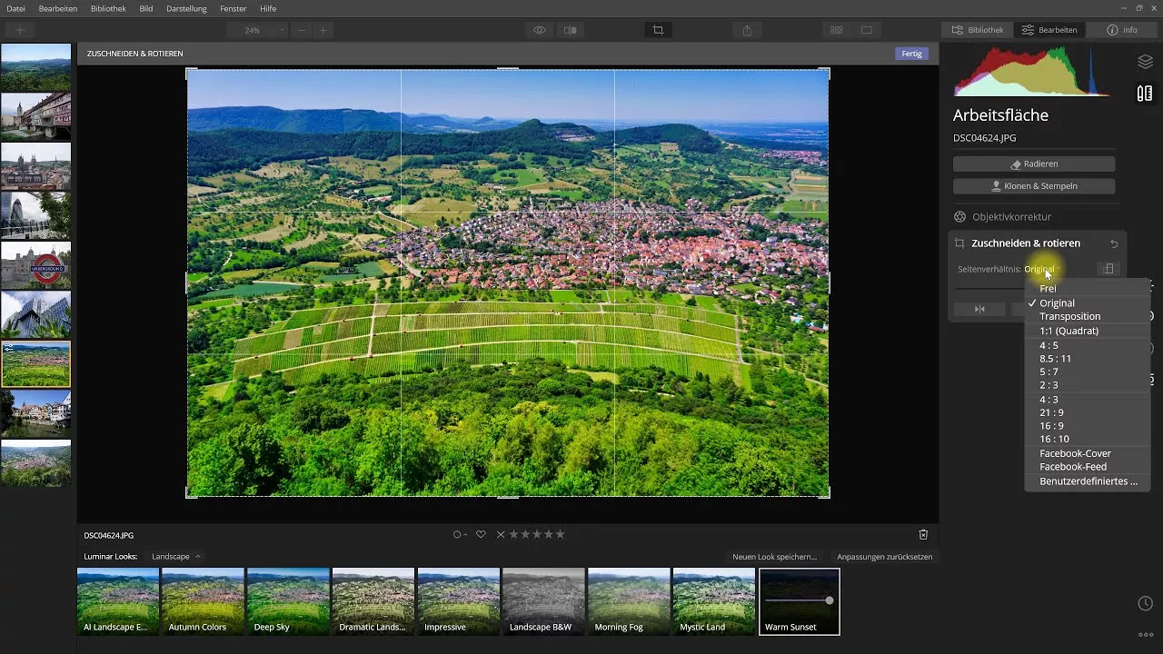 Luminar 4.3 – Suche in Bibliothek und weitere Neuerungen – Kostenloses Luminar 4 Update