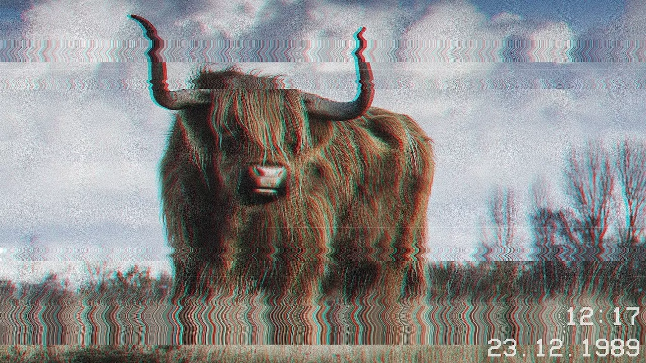 Glitch-Effekt im VHS-Look – Photoshop-Tutorial