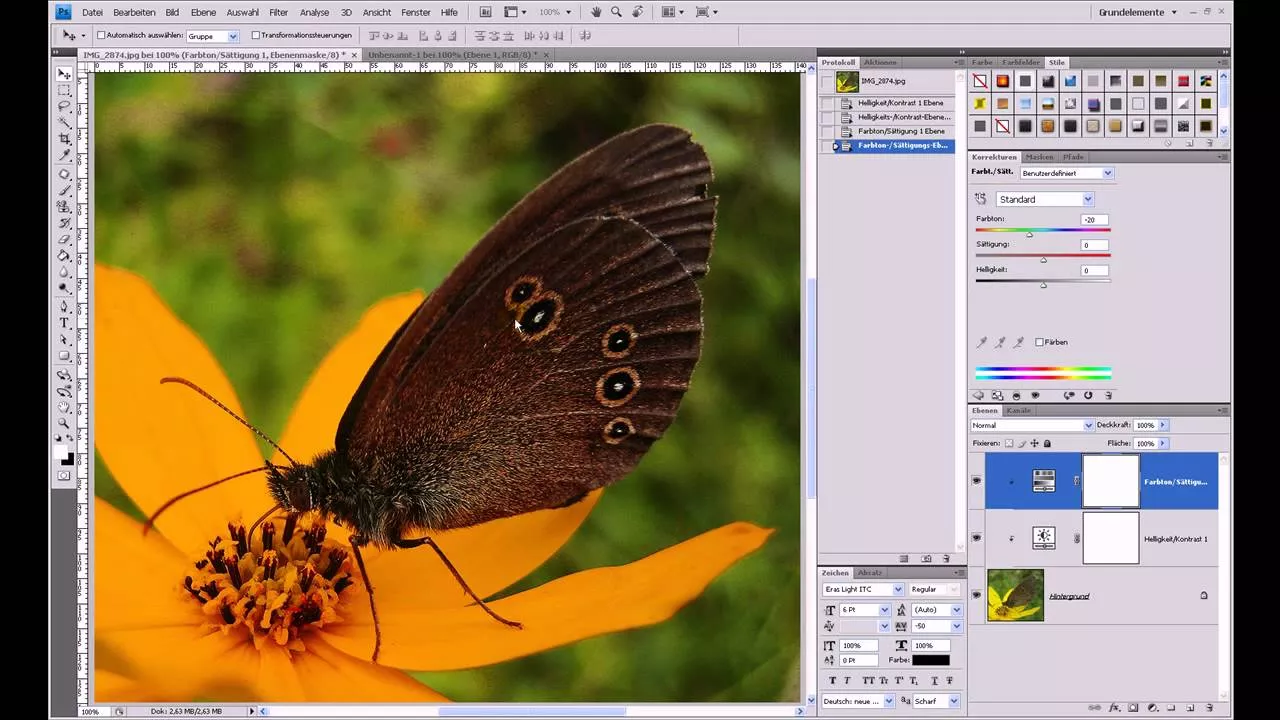 Einstellungsebenen – Photoshop-Tutorial