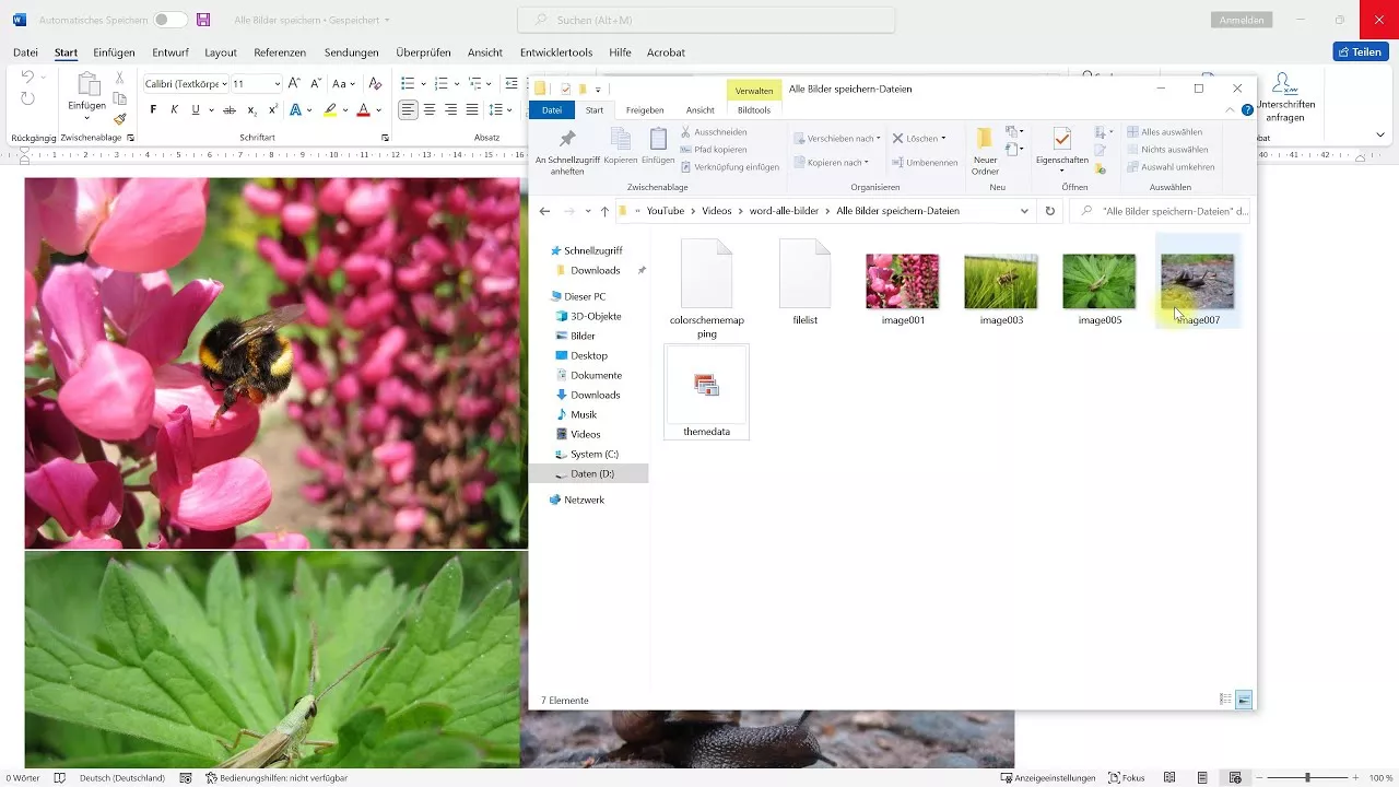 Alle Bilder aus Word-Dokument speichern oder exportieren – Word-Tutorial