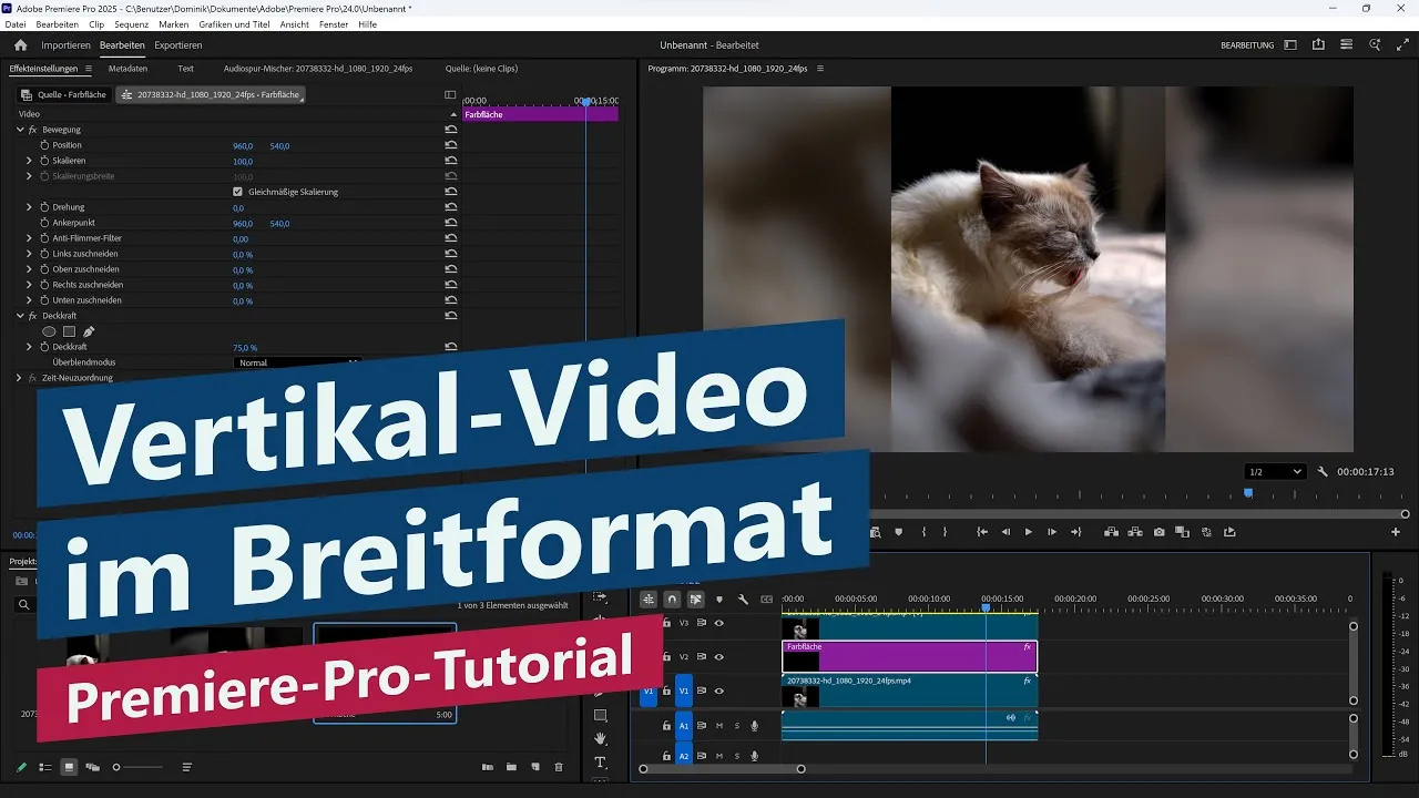 Hochformat-Video in Breitbild mit Blur-Hintergrund einfügen – Premiere-Pro-Tutorial