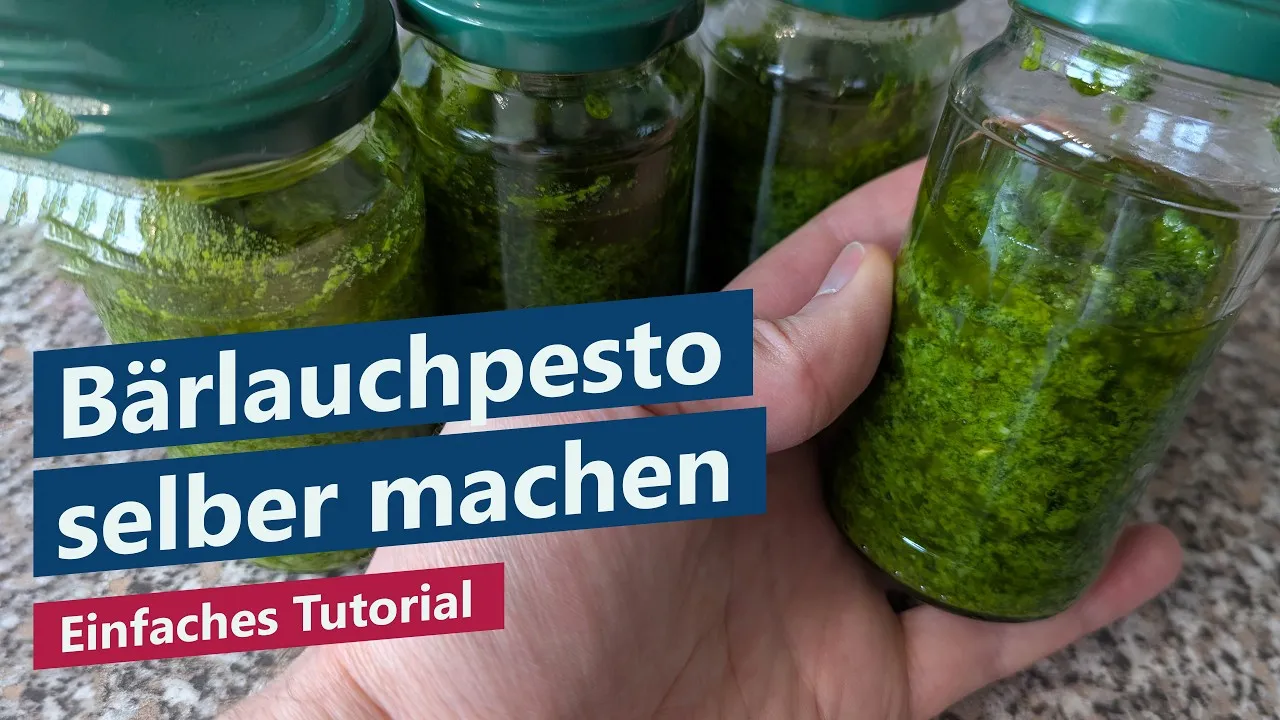 Bärlauchpesto selber machen – Einfache Anleitung für Anfänger: Pesto aus Bärlauch (Tutorial)